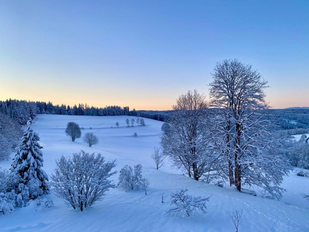 Gaestehaus Steiert Fewo Kuhbergblick Lenzkirch Extérieur photo