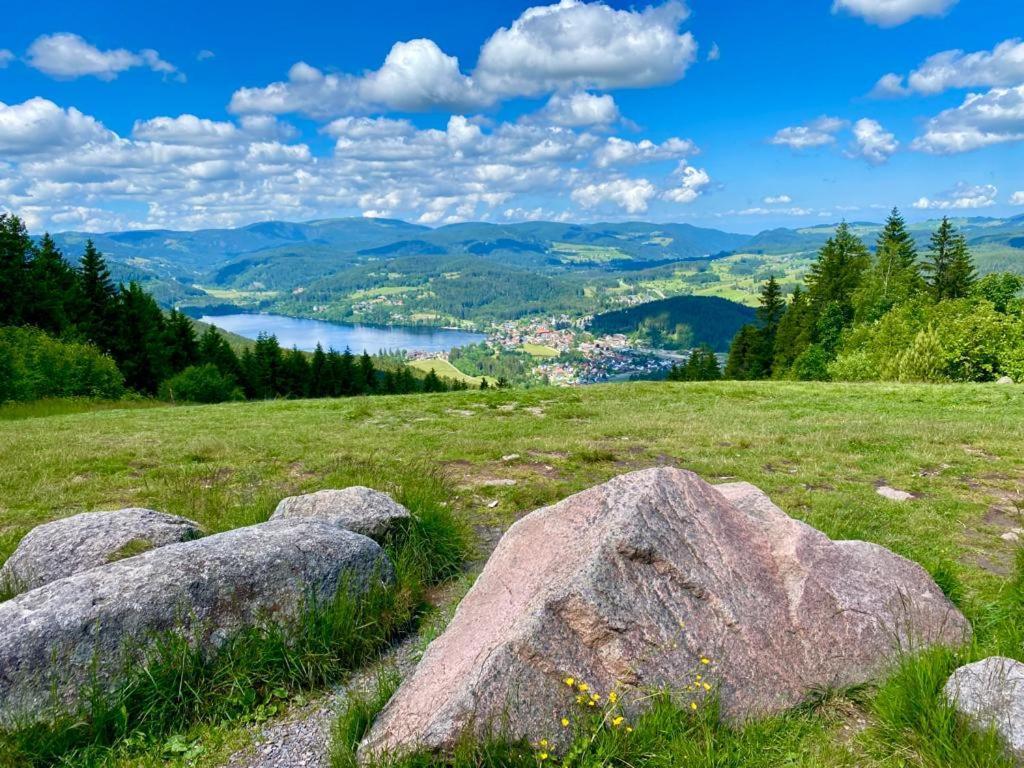 Gaestehaus Steiert Fewo Kuhbergblick Lenzkirch Extérieur photo