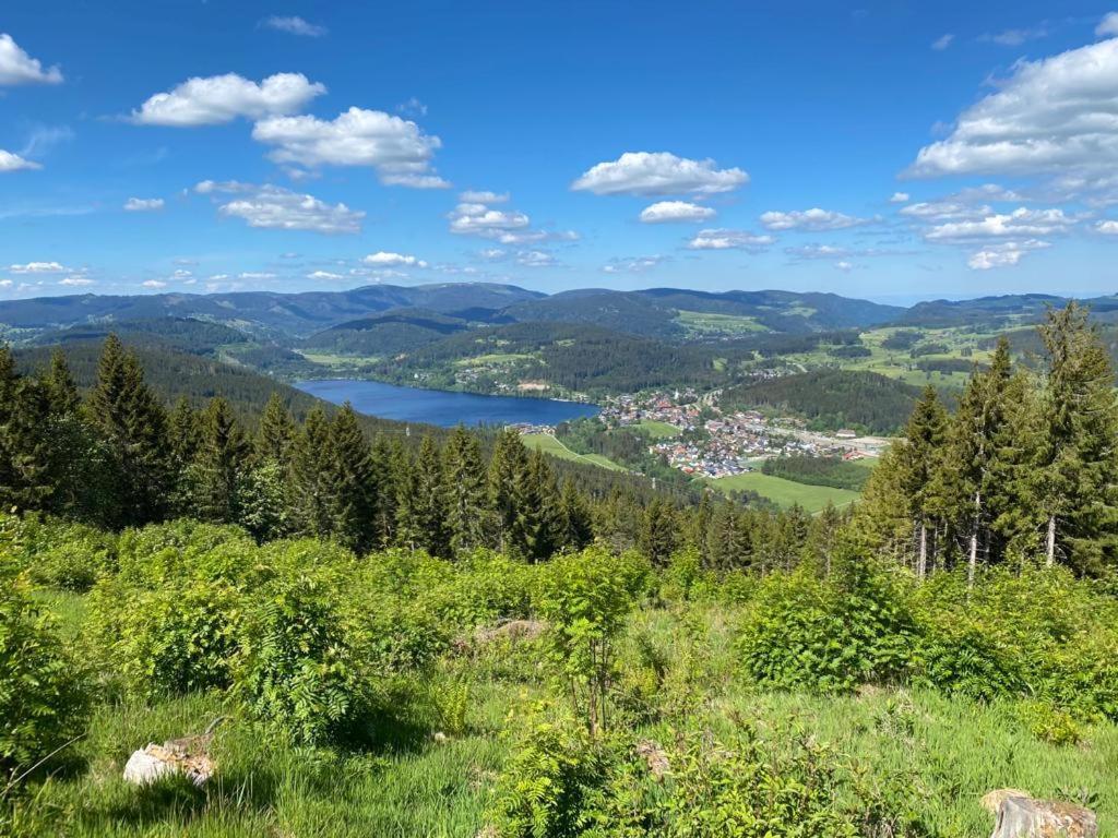 Gaestehaus Steiert Fewo Kuhbergblick Lenzkirch Extérieur photo